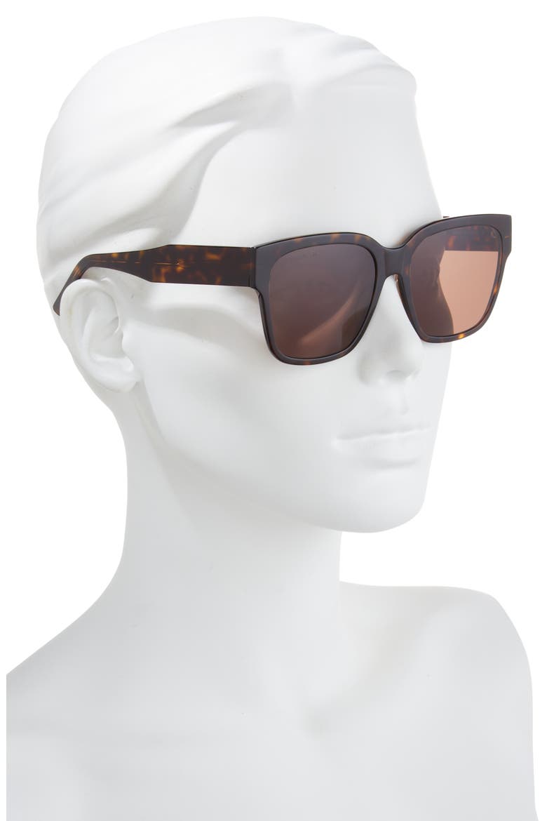53mm Square Sunglasses, Alternate, color, HAVANA HAVANA BROWN