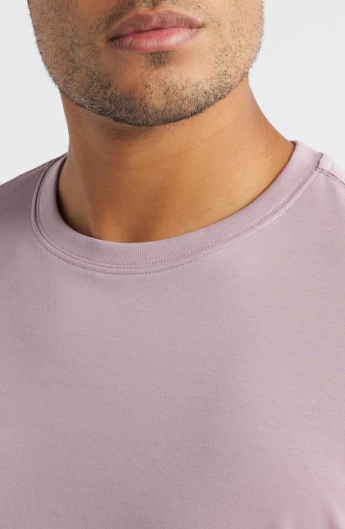 Robert Barakett Georgia Pima Cotton T-shirt In Purple