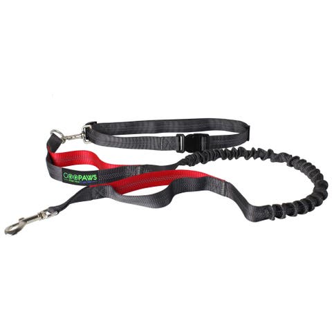 Hands Free Bungee Dog Leash