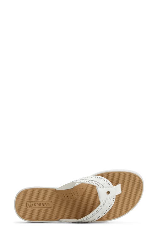 SPERRY SPERRY SEAFISH 3 PERFORATED FLIP FLOP