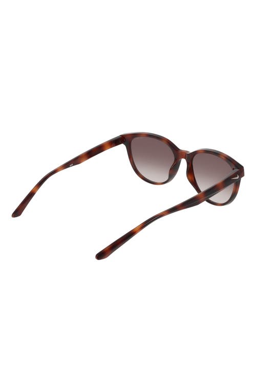Nike Vital Trend 55mm Gradient Round Sunglasses In Gray