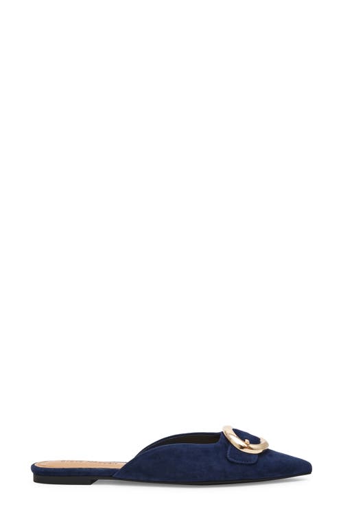 Steve Madden Ira Pointed Toe Mule