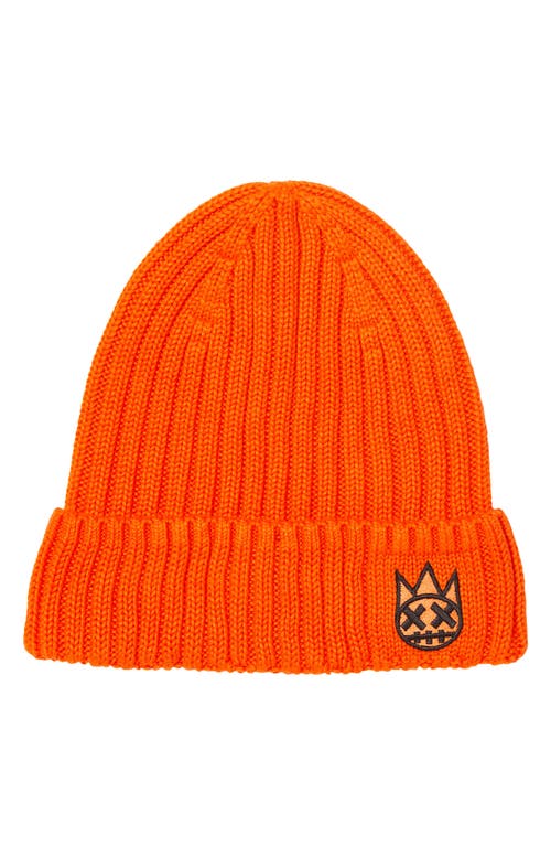 Cult Of Individuality Shimuchan Logo Beanie In Orange