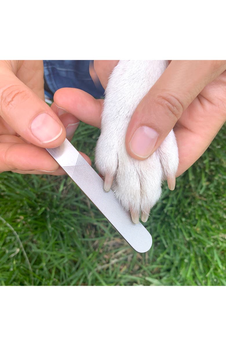 Kikkerland Design Dog Spa Kit, Alternate, color, 