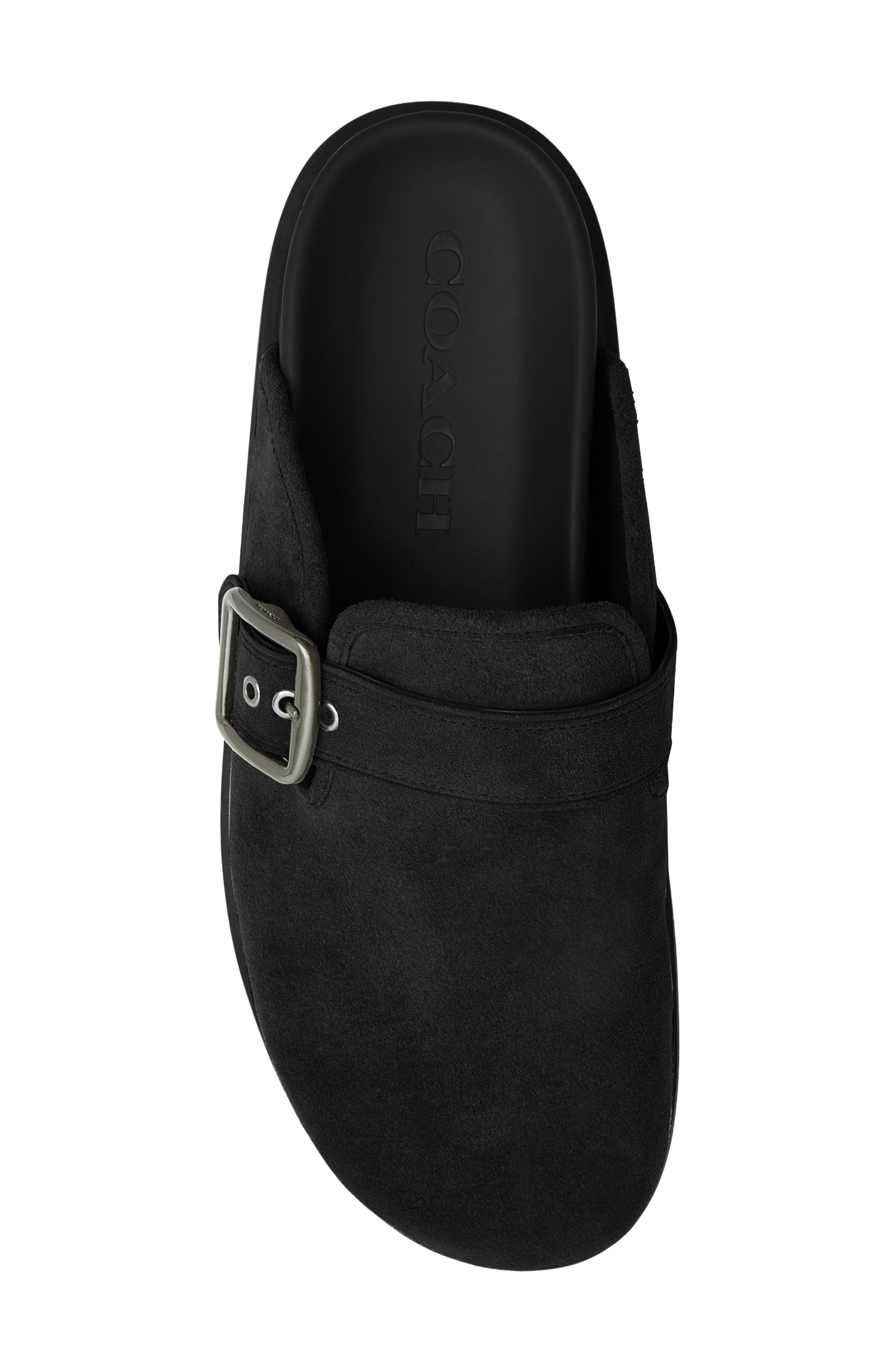 COACH Suede Buckle Clog, Alternate, color, 