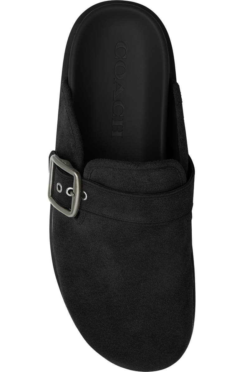 COACH Suede Buckle Clog, Alternate, color,