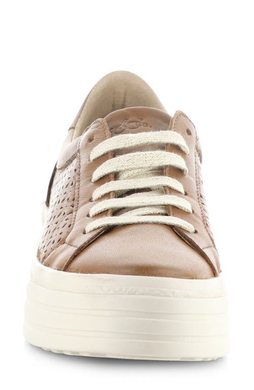 Bos. & Co. Lotta Platform Sneaker In Rich Tan