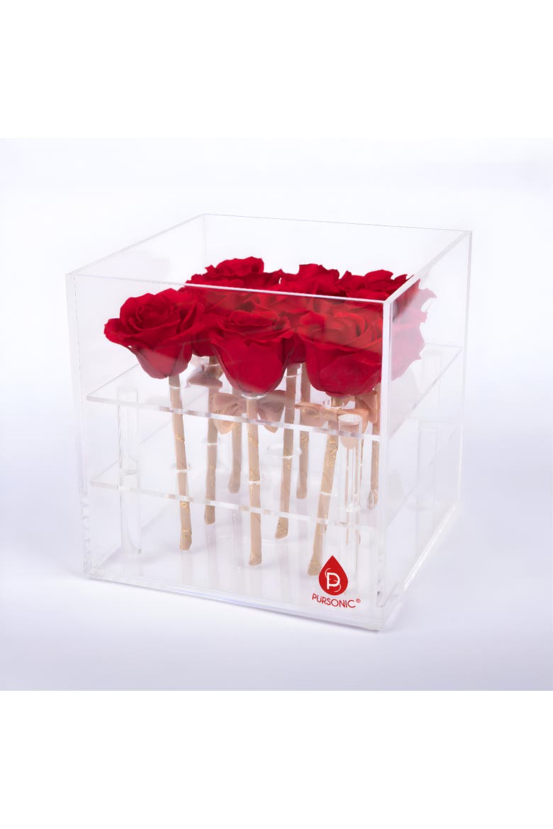 9 Preserved Roses in Acrylic Box, Main, color, Red