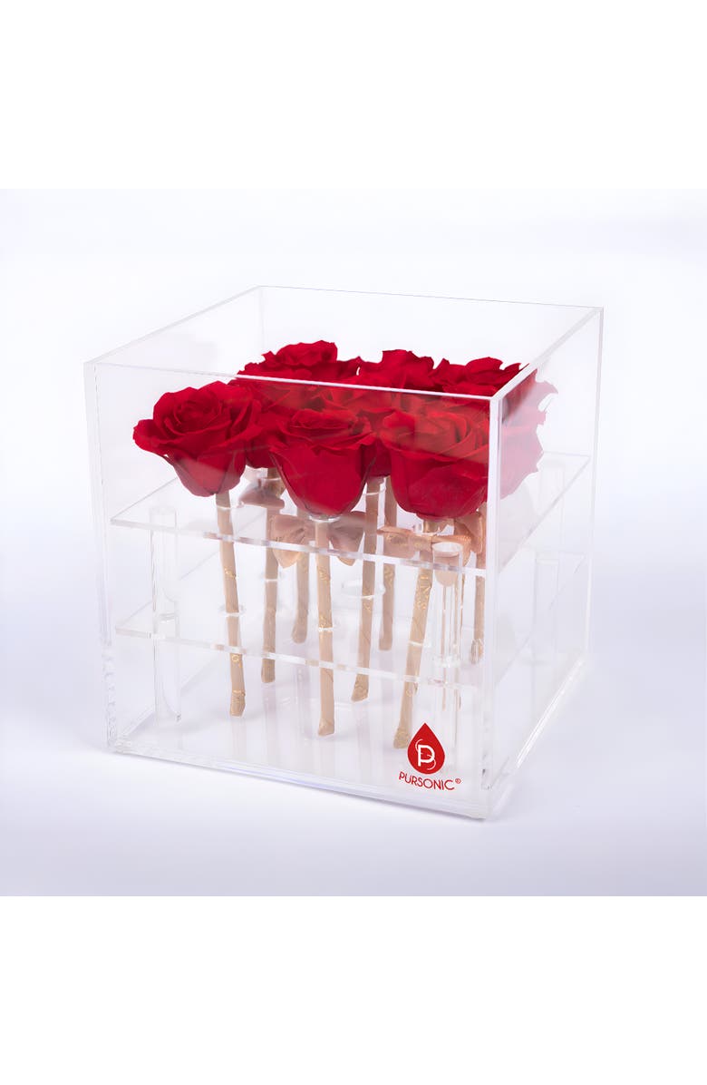 PURSONIC 9 Preserved Roses in Acrylic Box, Main, color, Red