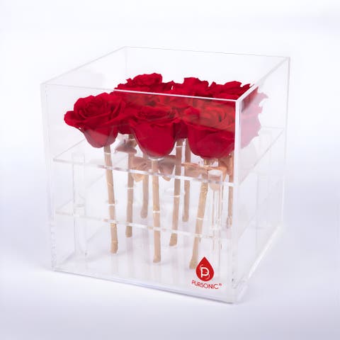 9 Preserved Roses in Acrylic Box