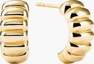 MEJURI Croissant-Inspired Hoop Earrings