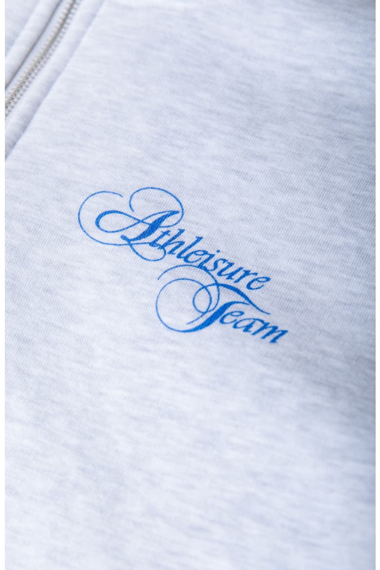 Logo Stripes Zip Sweat, Alternate, color, Grey