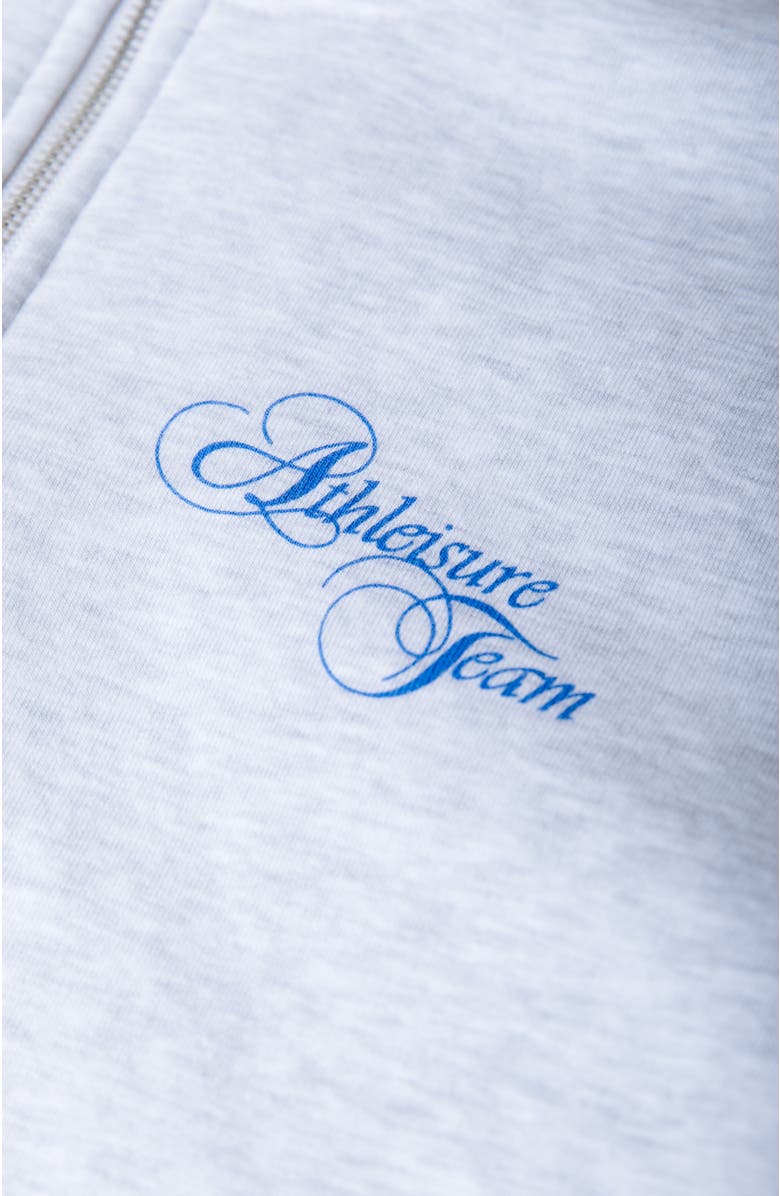 Colourful Rebel Logo Stripes Zip Sweat, Alternate, color, Grey