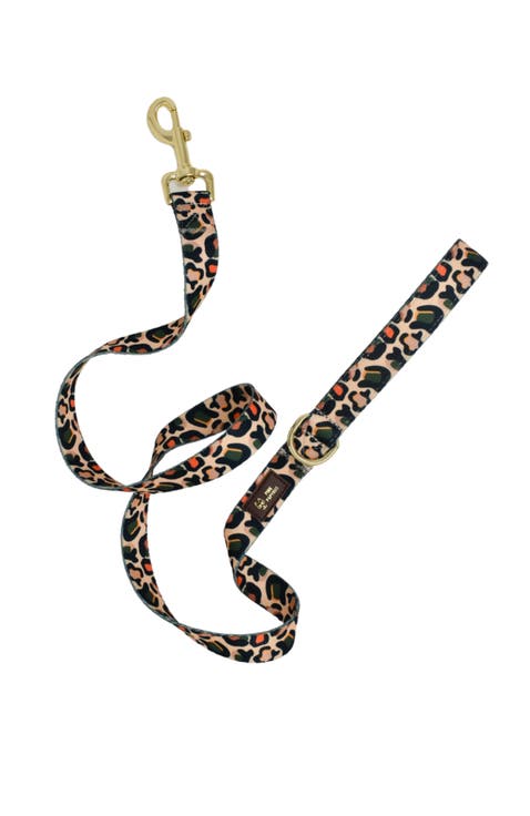 Beckett Dog Leash