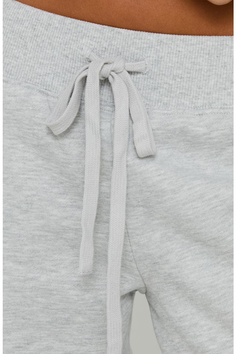 Verenah Wide Leg Fleece Sweatpants, Alternate, color, GREY