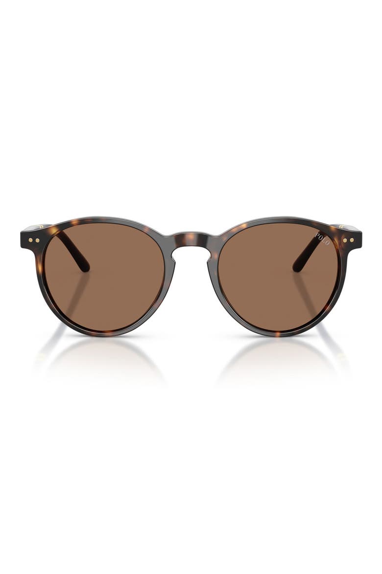 50mm Round Sunglasses, Main, color, SHINY DARK HAVANA / BROWN