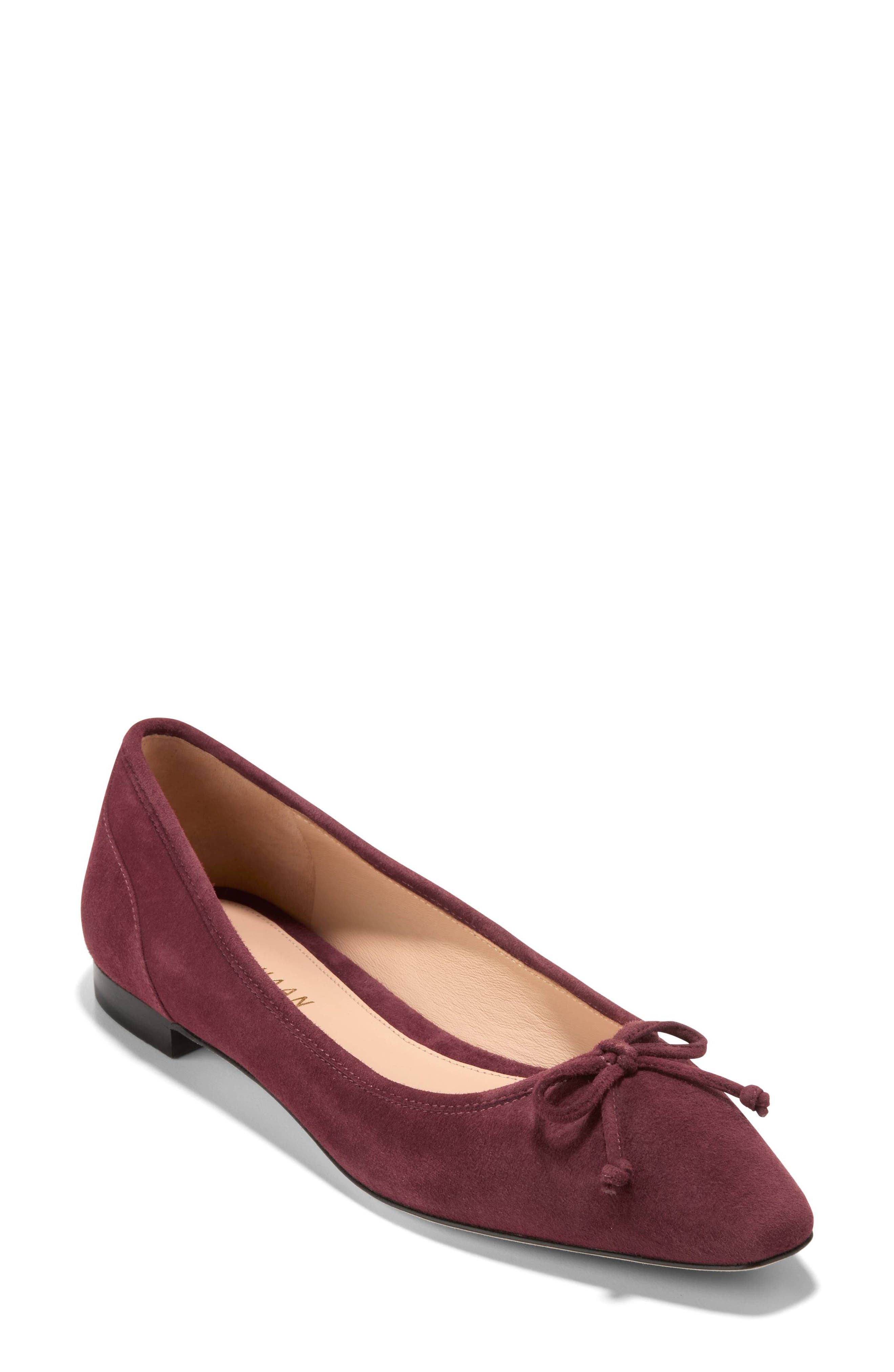 Cole Haan Chlea Pointed Toe Ballet Flat in Bloodstone 