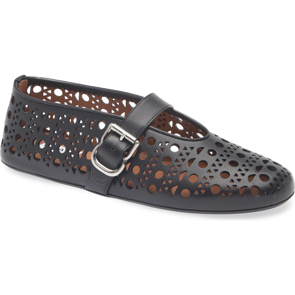 Alaïa Eyelet Detail Suede Ballerina Flats In Multi