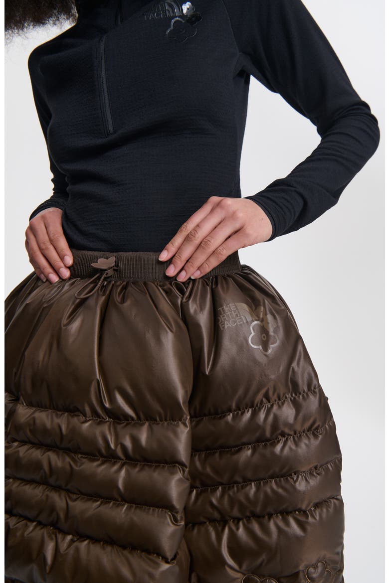 x The North Face Quilted Down Skirt, Alternate, color, SOIL BROWN