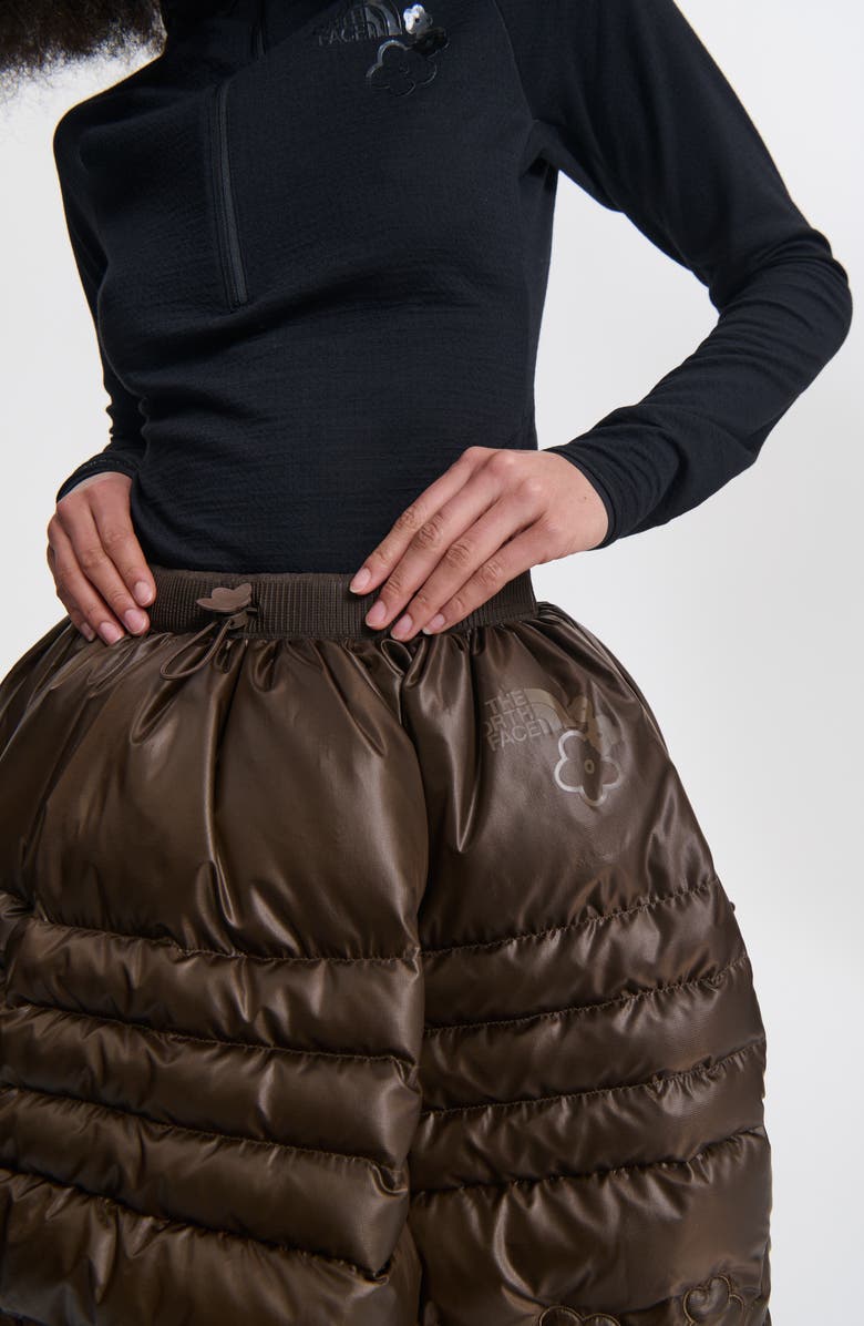 Cecilie Bahnsen x The North Face Quilted Down Skirt, Alternate, color, Soil Brown