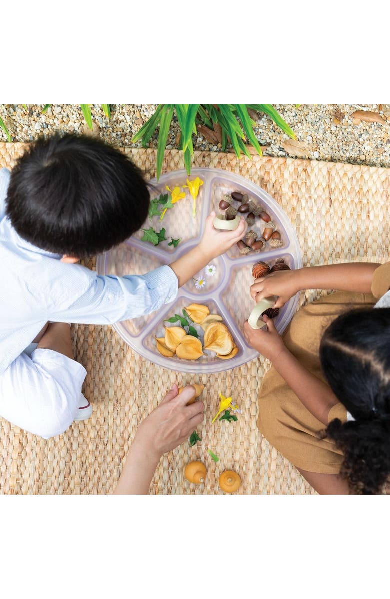 Kaplan Early Learning Company Loose Parts Sorting Trays - Set of 4 - Clear, Alternate, color, Clear