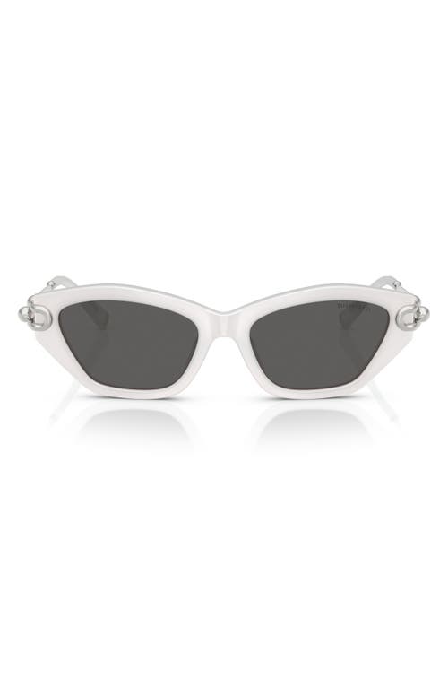 Tiffany & Co . 53mm Cat Eye Sunglasses In Multi