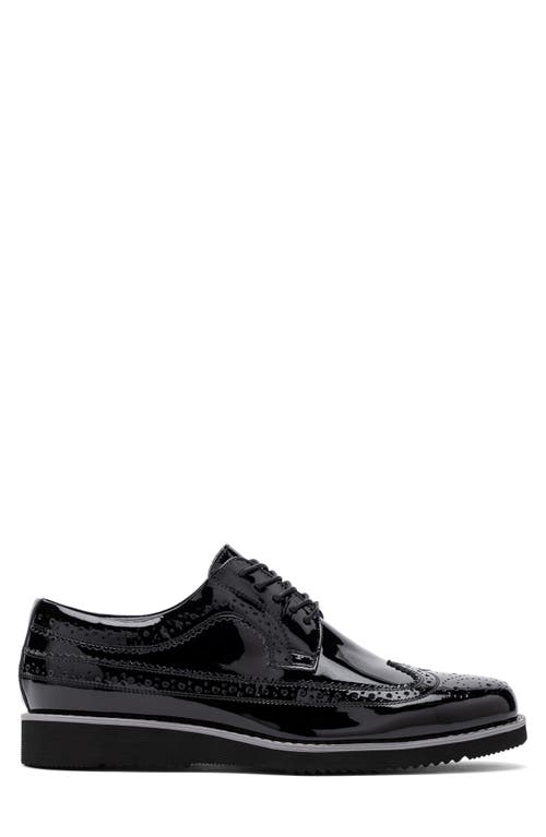 Marc Nolan Alexander Wingtip Derby