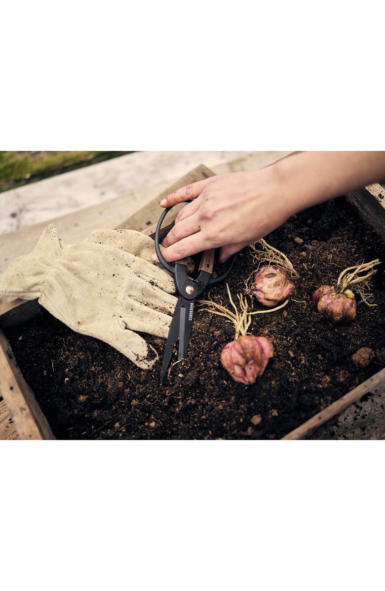 BAREBONES LIVING Set of 2 Garden Scissors, Alternate, color, 