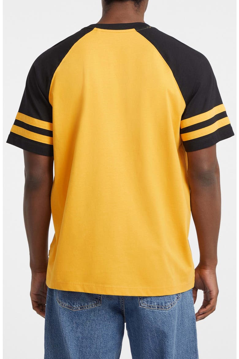 Raglan Sleeve Graphic T-Shirt, Alternate, color, G2B5-MEDIU