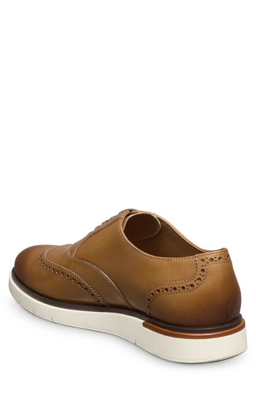 Allen Edmonds Carson Hybrid Wingtip Oxford In Walnut