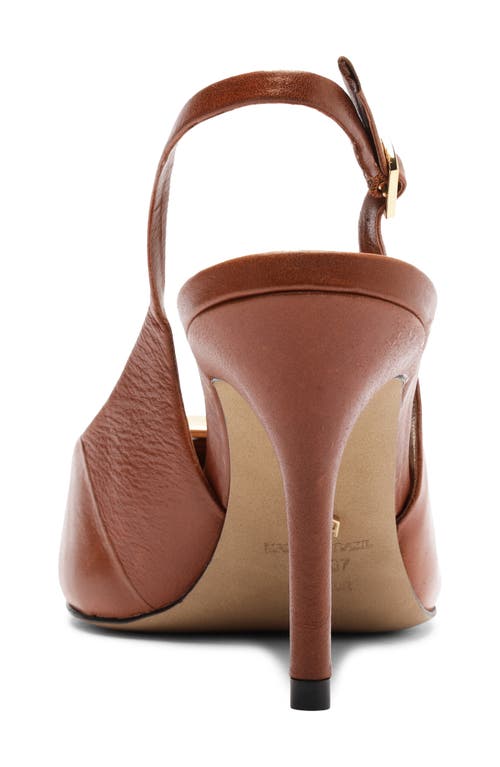 Arezzo Felicity Slingback Pointed Toe Pump In Animal Print