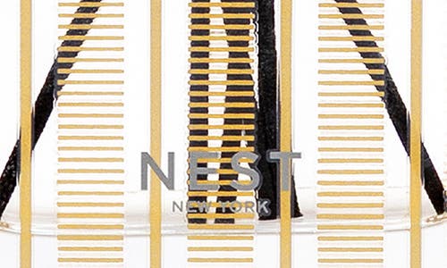Nest New York Atumn Plum Reed Diffuser In Transparent