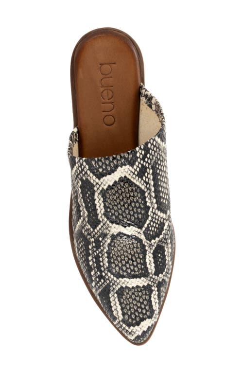Bueno Bambi Pointed Toe Mule In Black