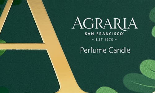 Agraria San Francisco Holiday Perfume Candle In Brown