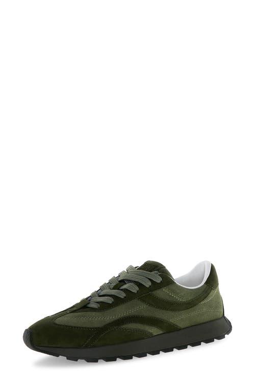Candice Cooper Plume 2 Motion Sneaker in Army Green  product