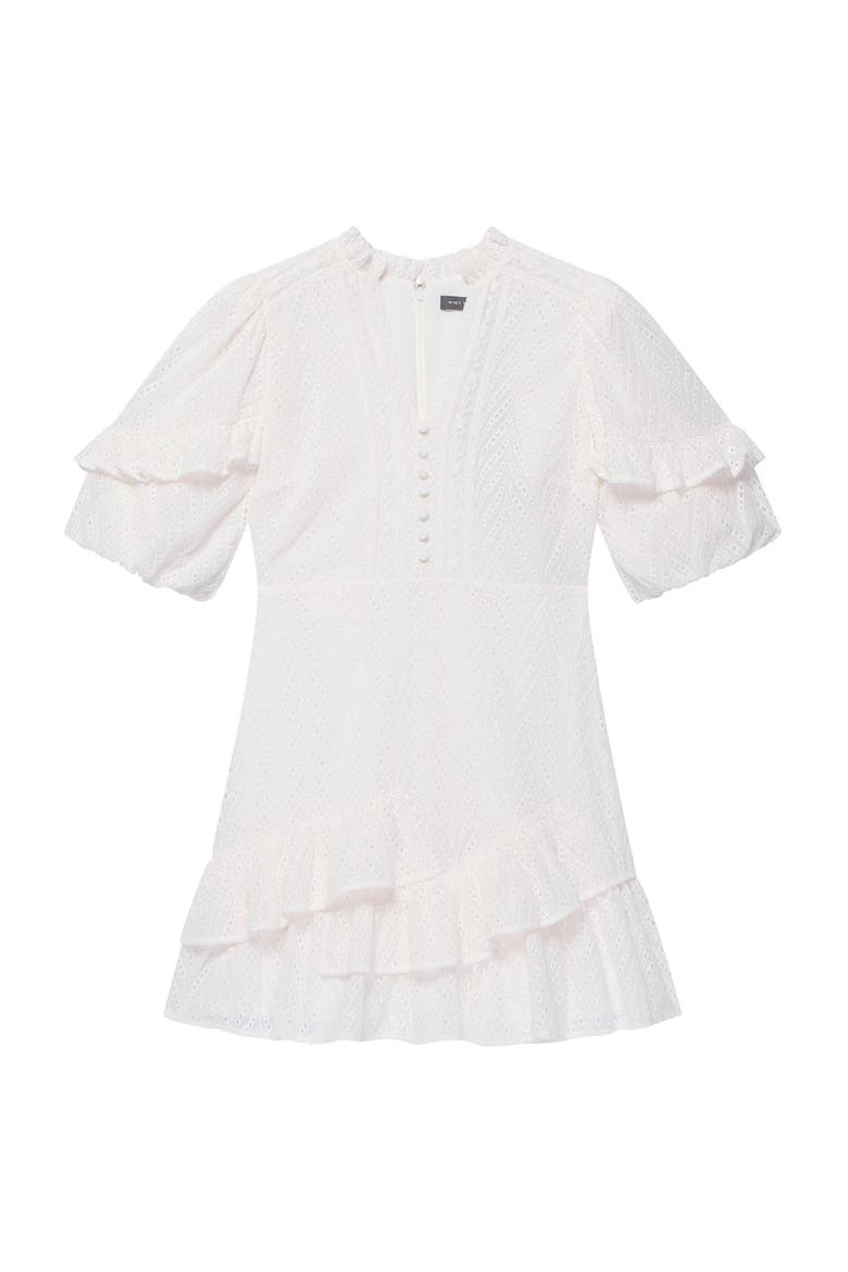 Embroidered Detail Mini Dress, Alternate, color, Ivory