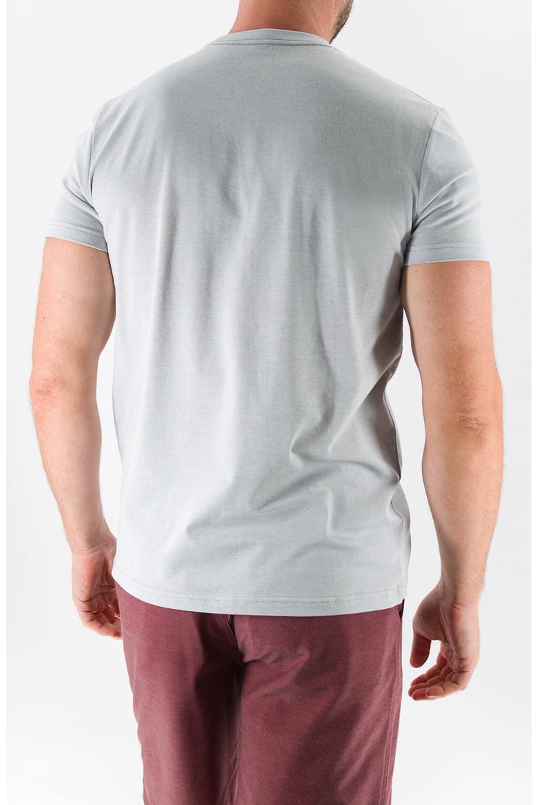 Feeder T-Shirt, Alternate, color, MELANGE QUIET GREY
