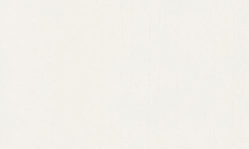 Elodie Pointelle Stitch Button-up Top In White