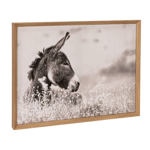Wood Framed Canvas Wall Décor with Donkey Photography, Multicolor