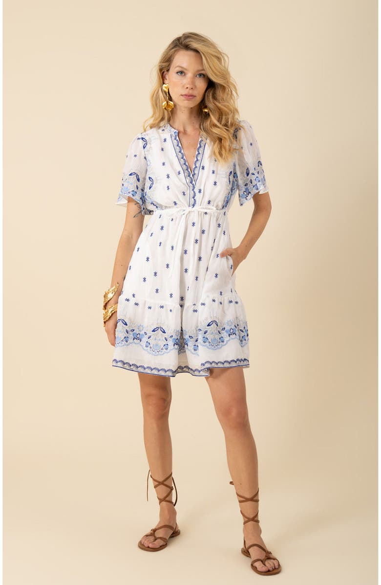 Hale Bob Milan Embroidered Organza Dress, Main, color, 