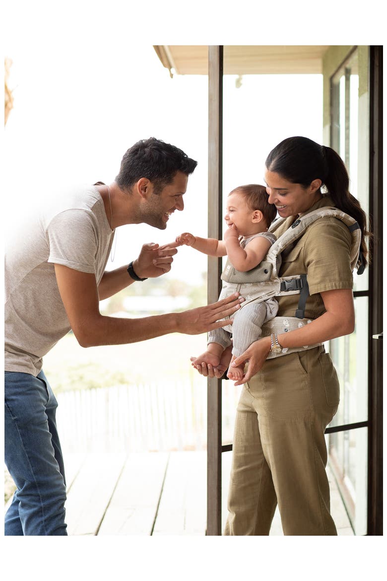 Complete 6-in-1 All Seasons Baby Carrier, Alternate, color, TAN