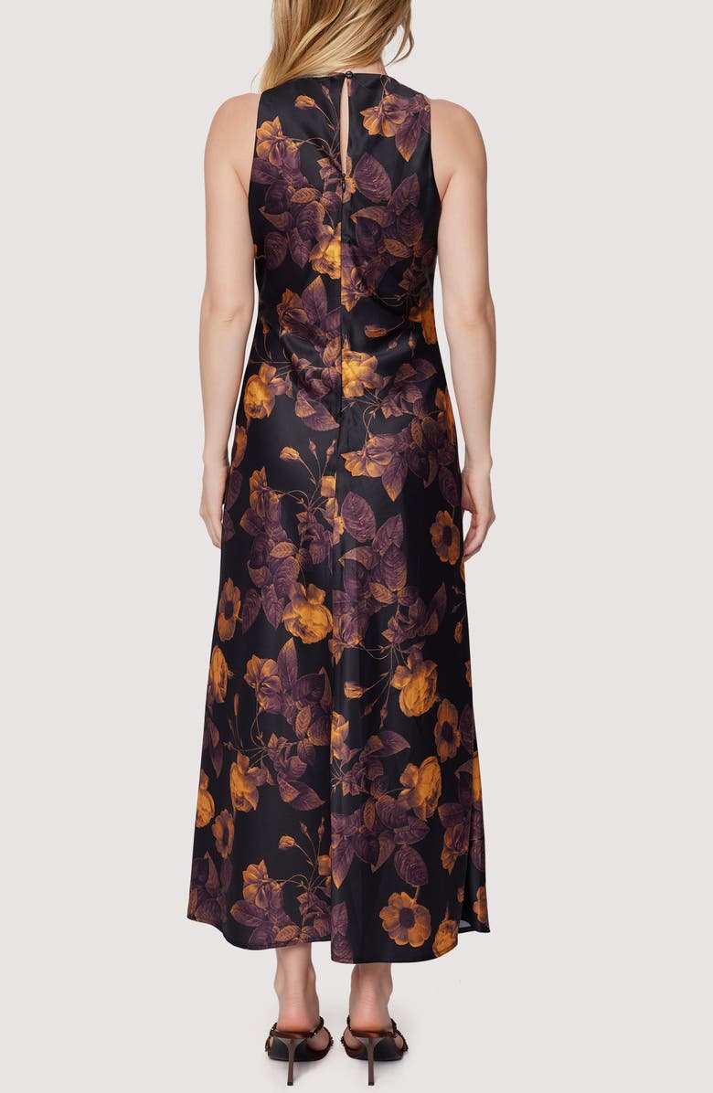 Jardin De Siene Floral Sleeveless Maxi Dress
