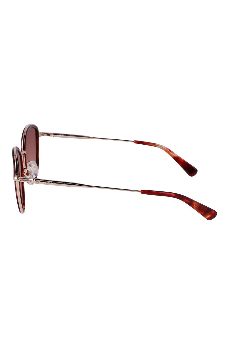 Roseau 54mm Gradient Cat Eye Sunglasses, Alternate, color, ROSE GOLD/RED HAVANA