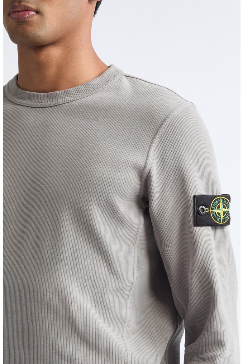 Compass Logo Patch Cotton Crewneck Sweatshirt, Alternate, color, V0060 GREY
