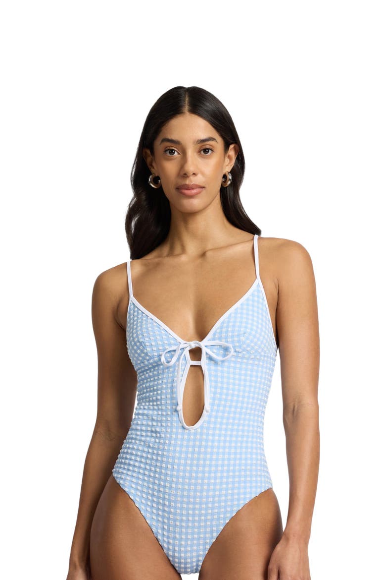 Soleil Tie Front One-Piece, Alternate, color, Sky/White