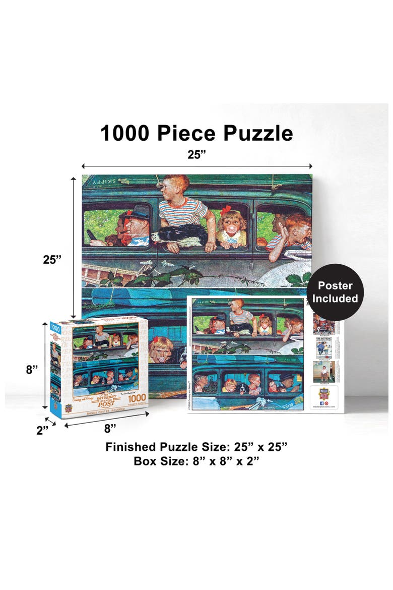Coming and Going 1000 Piece Puzzle, Alternate, color, Multicolor