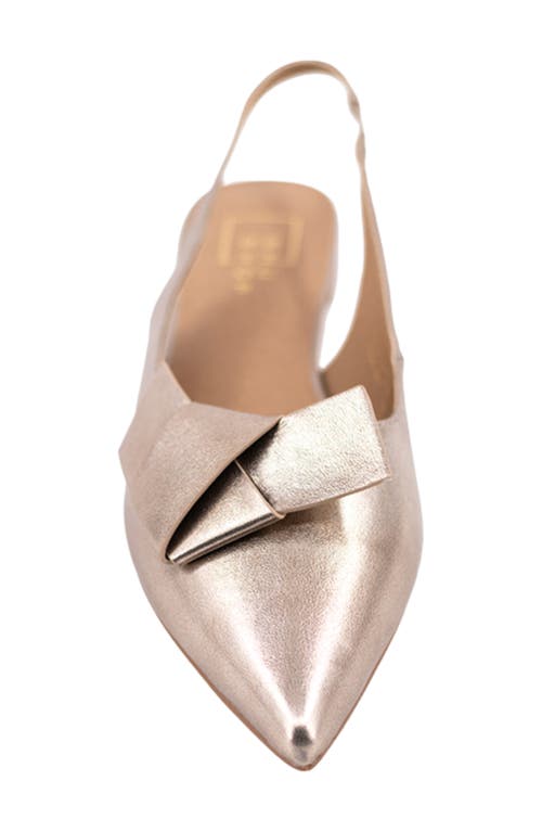 Shushop Audrey Pointed Toe Slingback Flat