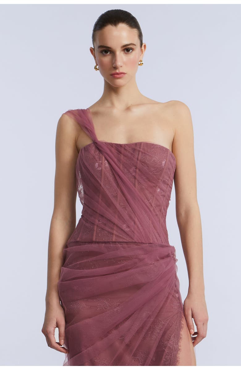 BCBGMAXAZRIA Tulle & Lace Gown, Alternate, color, Renaissance Rose