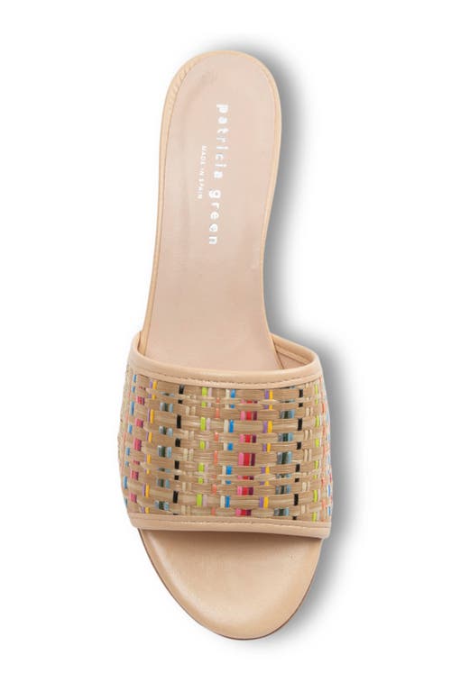 Patricia Green Harper Raffia Slide Sandal In Rainbow Raffia