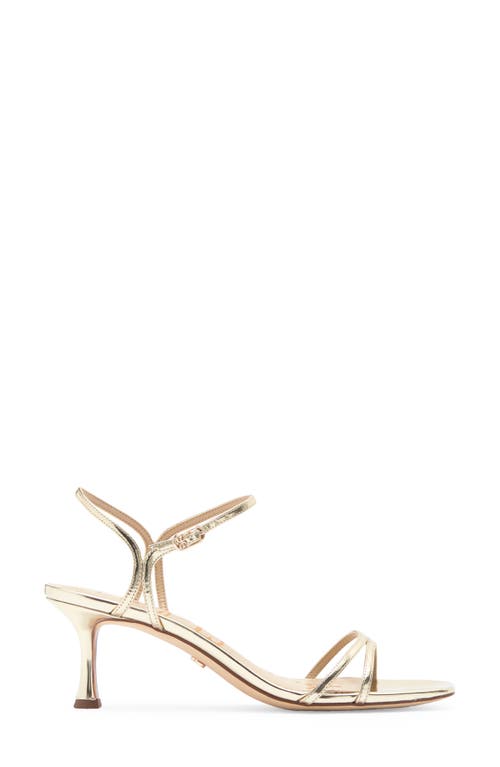 Sam Edelman Presley Strappy Sandal In Jute